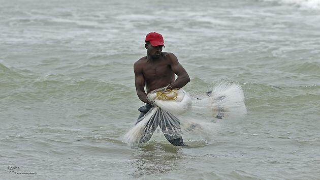 La pêche au filet d'araignée à Avlo La pêche au filet d'araignée à Avlo