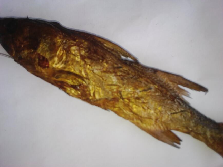 Poisson fumé Poisson fumé